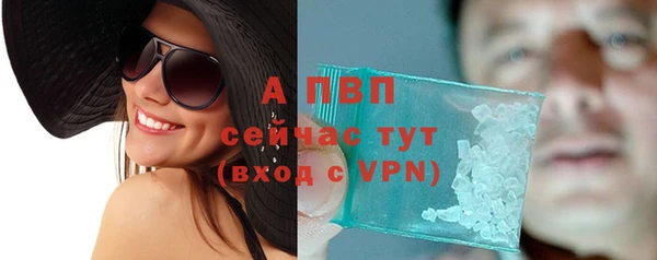 дживик Богородицк