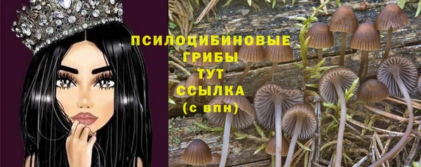 прущая мука Богданович