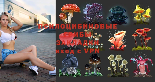 дживик Богородицк