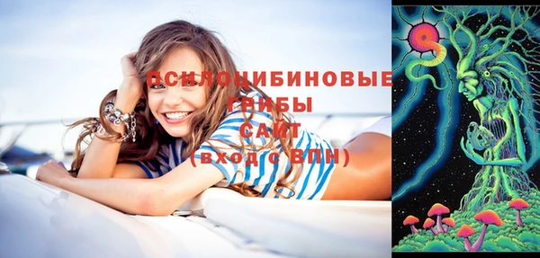 прущая мука Богданович