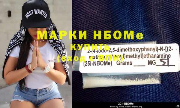 дживик Богородицк
