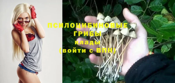 прущая мука Богданович