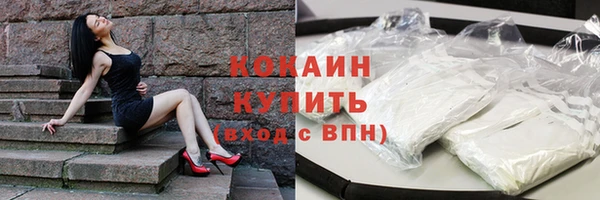 дживик Богородицк